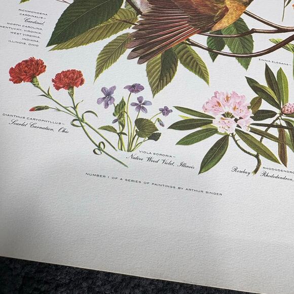 Arthur Singer Portfolio of Bird Prints Complete Set (8) - Vintage Botanical Art - Picture 16 of 16